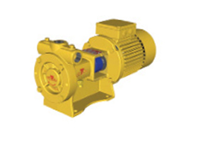 Pumps/Motors
