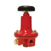 MEGR 6120-60 60PSI ADJ REGULATOR